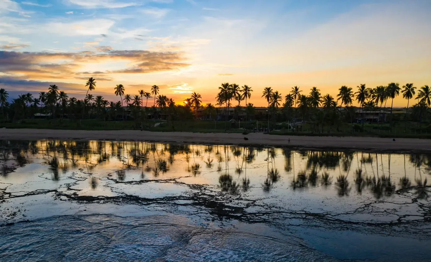 Pôr do sol entre coqueiros em Praia do Forte, Bahia